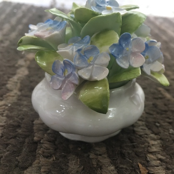 OLD COUNTRY ROSES - Picture 1 of 11